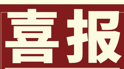 強(qiáng)勢(shì)開新局 勇奪開門紅 | 靈科超聲波Q1業(yè)績勁增14.96%創(chuàng)佳績